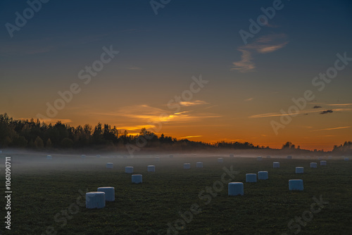 sunset over the field