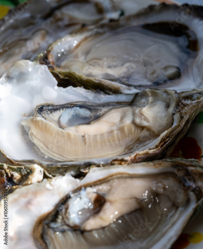 Plate with fresh live oysters with citron, bread, butter and white wine served at restaurant in oyster-farming village, Arcachon bay, Gujan-Mestras port, France