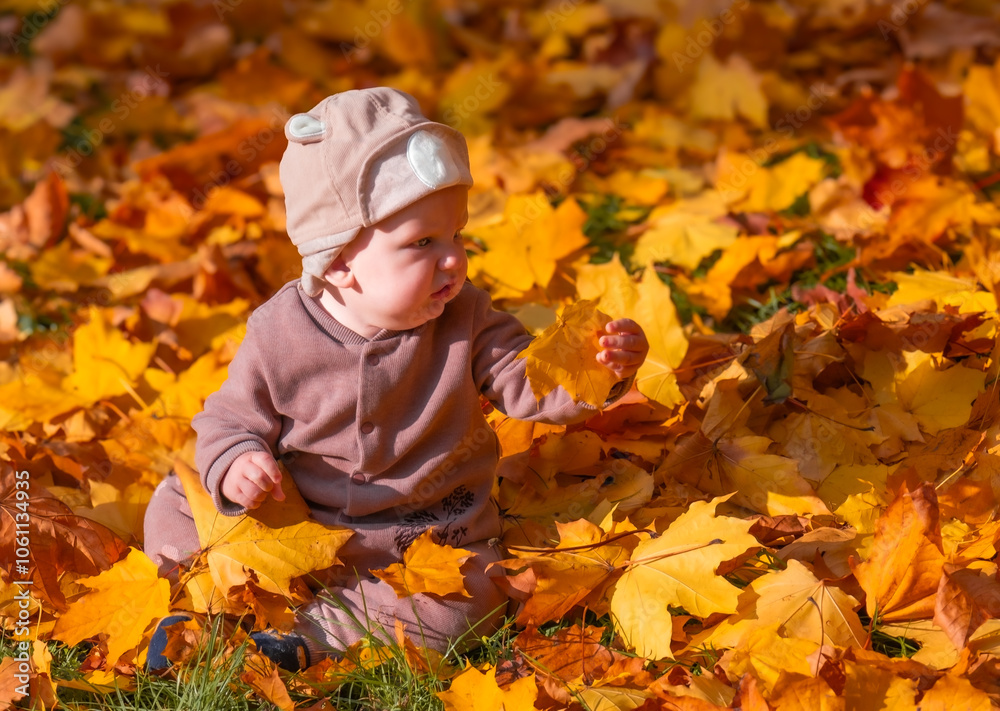 A small boy, infant, ten months old, European, sits in an autumn park on bright yellow and orange leaves and plays with them. A small boy, infant, ten months old, European, sits in an autumn park on bright yellow and orange leaves and plays with them.