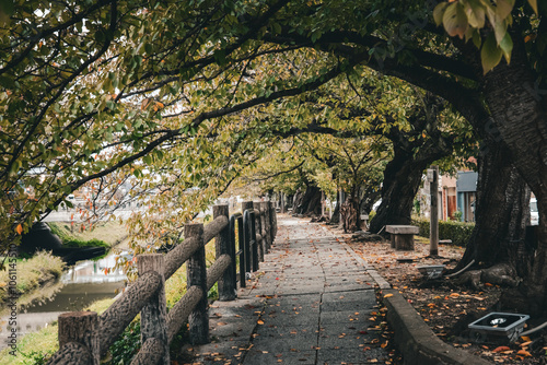 Autumn riverside paths surrounded by trees.