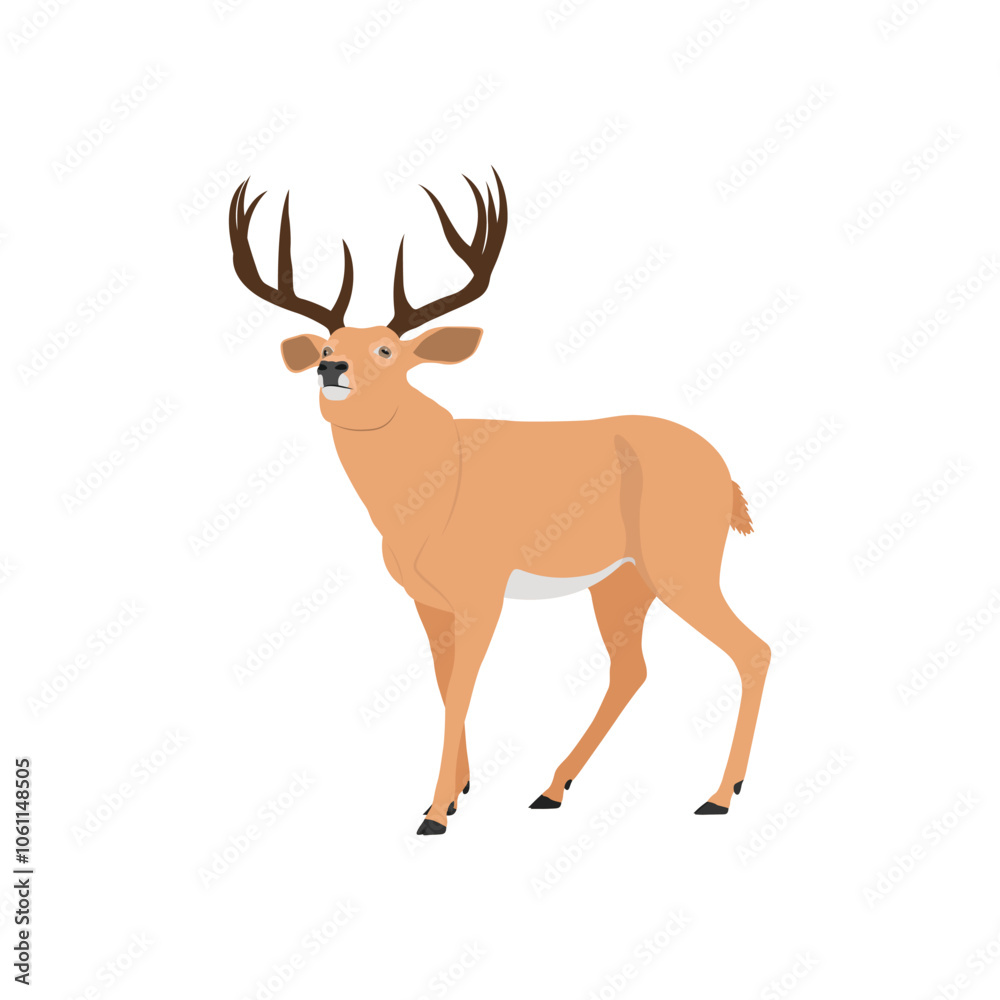 Vector illustration of deer in cartoon flat style. Male or female deer wild life animal isolated in white background. Cute different poses deer with long horns for logo, icon, infographic, symbol Vector illustration of deer in cartoon flat style. Male or female deer wild life animal isolated in white background. Cute different poses deer with long horns for logo, icon, infographic, symbol