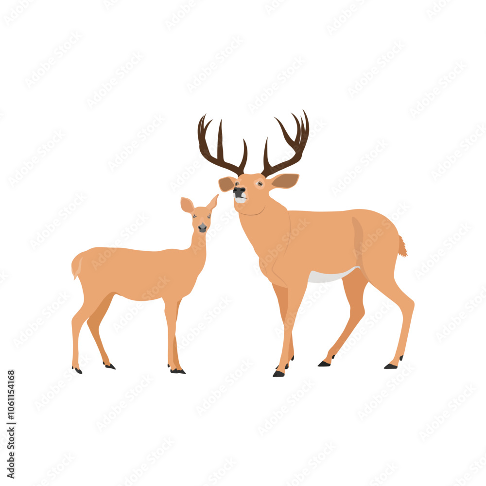Vector illustration set of deer in cartoon flat style. Male or female deer wild life animal isolated in white background. Cute different poses deer with long horns for logo, icon, infographic, symbol Vector illustration set of deer in cartoon flat style. Male or female deer wild life animal isolated in white background. Cute different poses deer with long horns for logo, icon, infographic, symbol