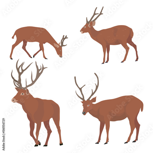 Vector illustration set of deer in cartoon flat style. Male or female deer wild life animal isolated in white background. Cute different poses deer with long horns for logo, icon, infographic, symbol