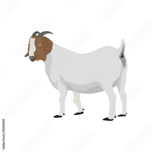 Vector illustration of boer goat in cartoon flat style. Farming domestic animal for breeding, dairy and meat. Goat digital resources for logo, symbol, icon, poster, infographic