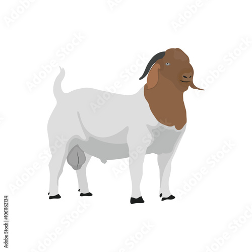 Vector illustration of boer goat in cartoon flat style. Farming domestic animal for breeding, dairy and meat. Goat digital resources for logo, symbol, icon, poster, infographic
