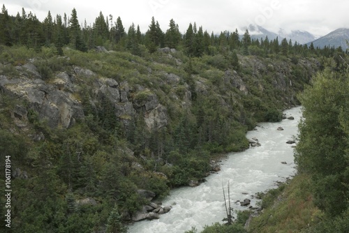 Scenic Mountain River Landscape