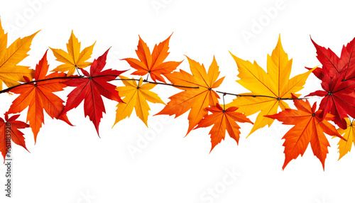 Autumn Leaves