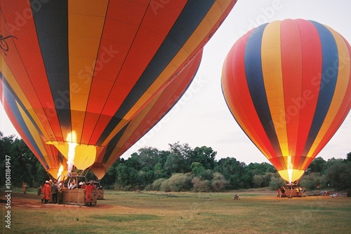 hot air balloons being inflated in the Maasai Mara in Kenya