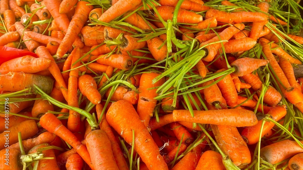 A pile of fresh, orange carrots, perfect for a healthy snack or meal. A pile of fresh, orange carrots, perfect for a healthy snack or meal.