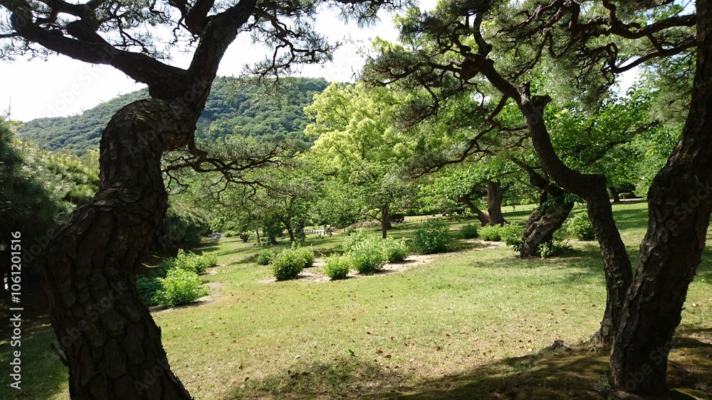 Fototapeta premium 栗林公園