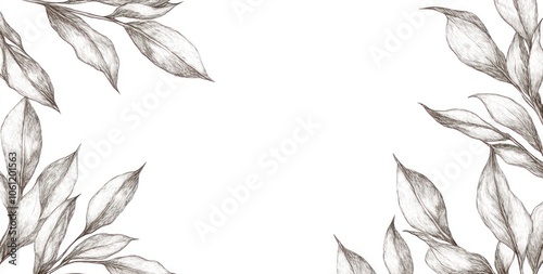 A decorative border featuring sketched leaves on a white background, ideal for invitations or stationery.