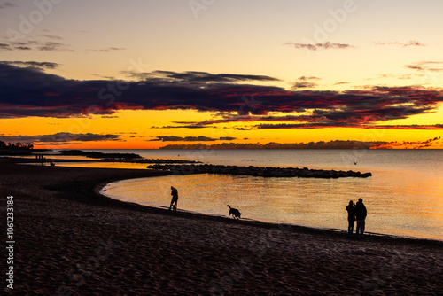 Photography Dog walkers on Kew Beach in the Toronto Beaches at sun rise room for text