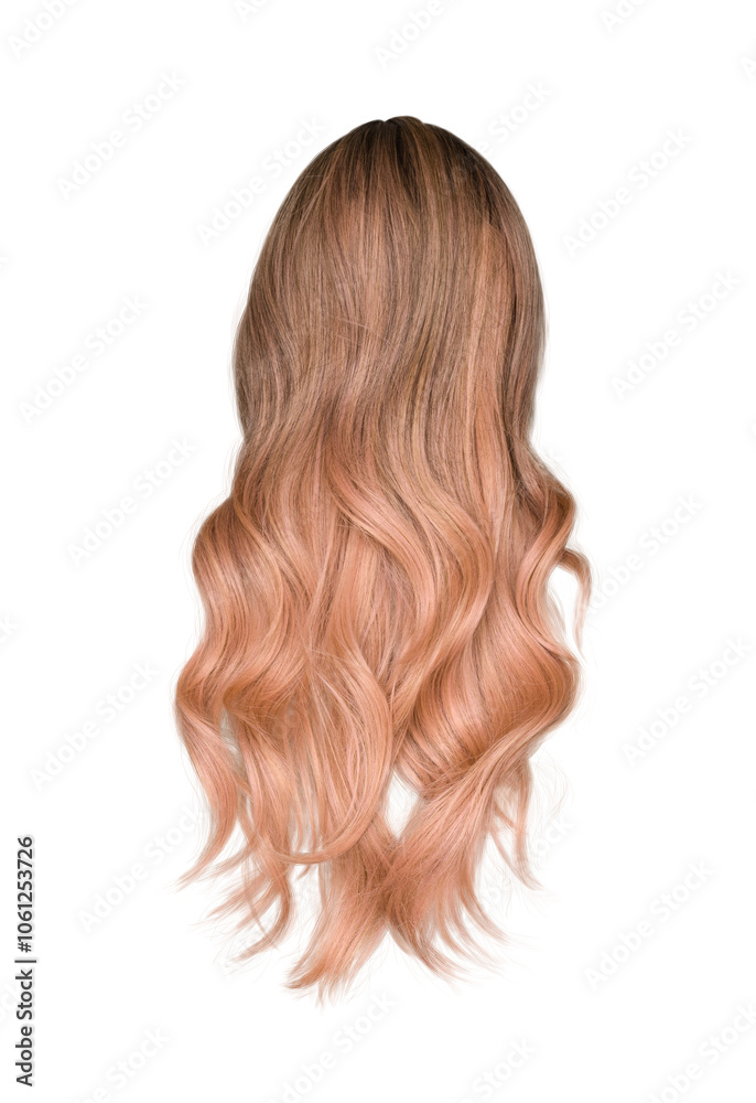 Fototapeta premium Long wavy blond ombre hair wig from behind isolated cutout on transparent