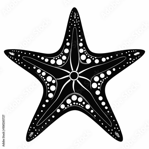 Starfish vector black silhouette illustration on white background