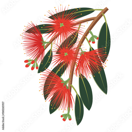 New Zealand Christmas Tree Illustration