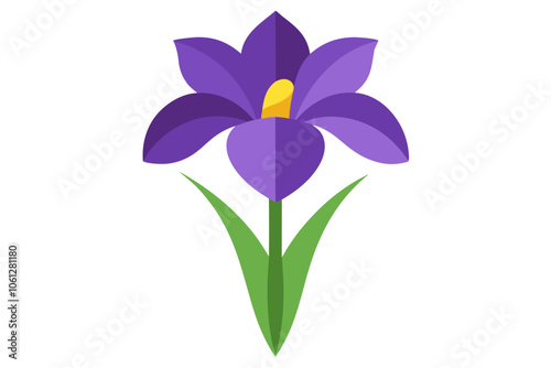 Iris flower | isolated vector illustration on white background