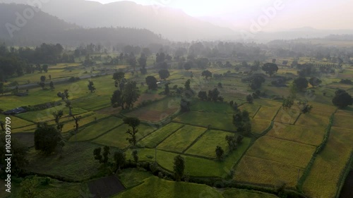Aerial view of agriculture field at evening time. Beautiful Aerial view of farm land. 