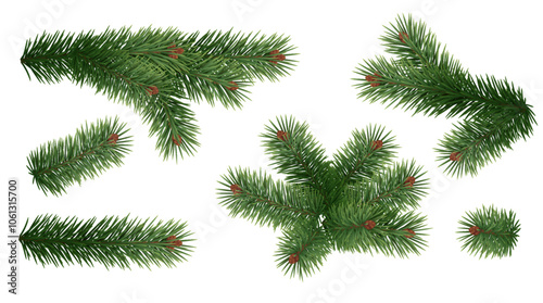 Evergreen tree tender branches realistic vector icons set. Natural fir plant twigs 3d objects illustrations bundle on white background