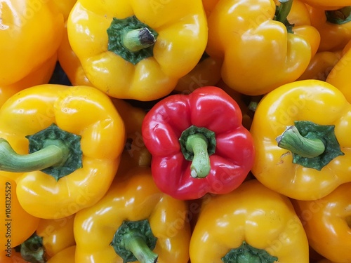 Odd One Out concept. Flat lay of a odd red Bell pepper among yellow Bell pepper. Concept for being unique, different and stand out from the crowd photo