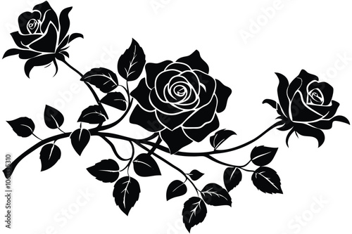 a climbing rose vector on white background