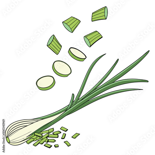 Fresh Falling Green Onion Slices and Chives Isolated on White Background 