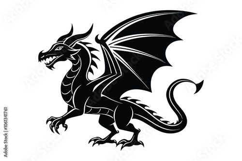 dragon tattoo design with white background photo