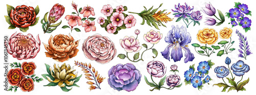 Flower Collection Illustration with Transparent Background. Colorful Spring Floral Set.