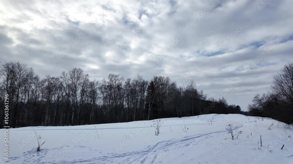 Winter landscape, a lot of snow and bare trees