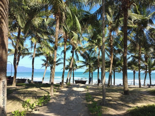 A boat at the tropical beach  photo