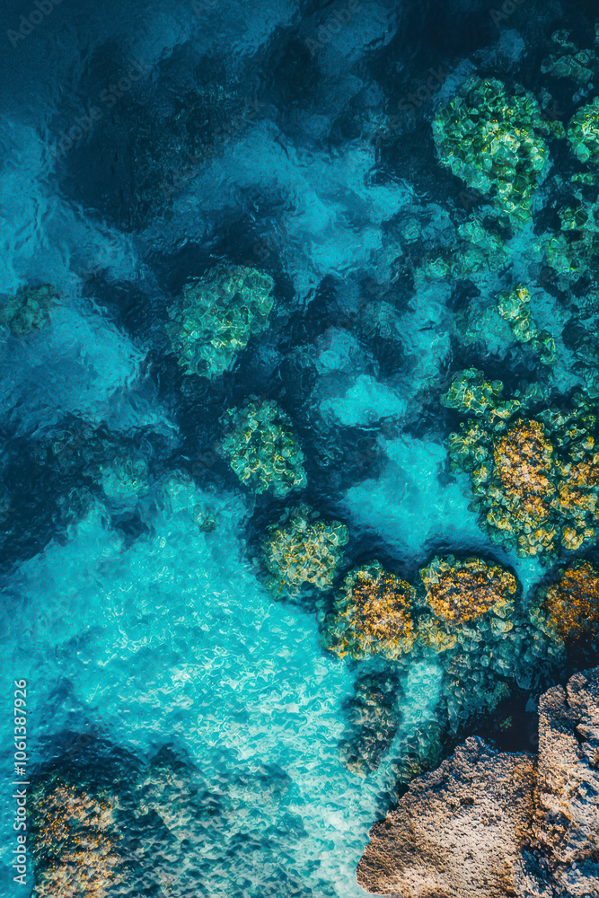 Fototapeta premium Vertical Top-Down View of Coral Reefs and Clear Blue Sea.