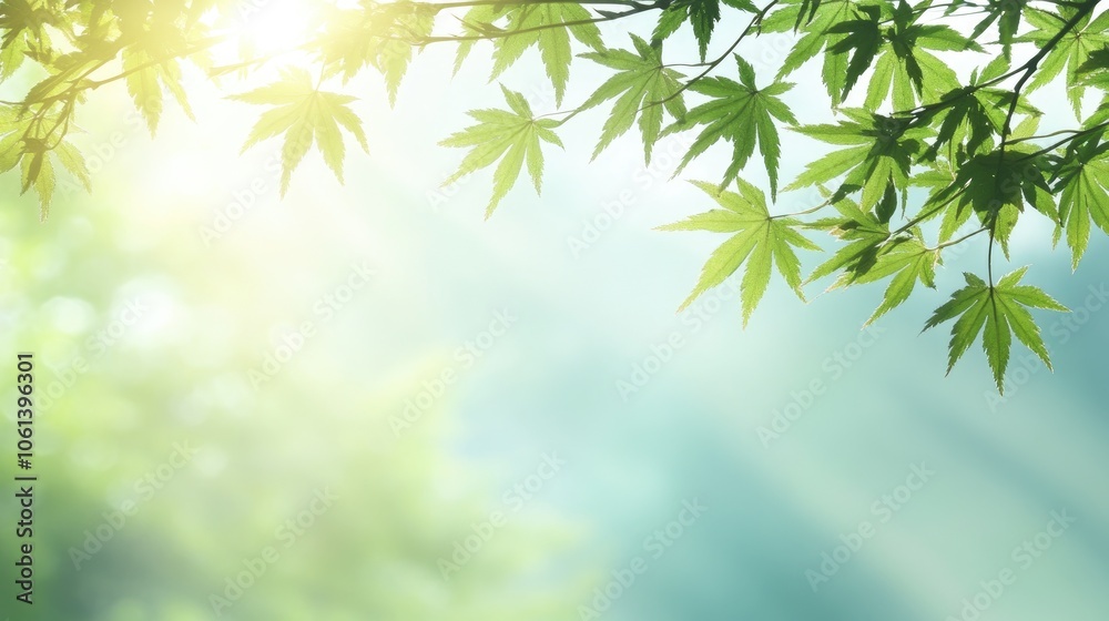 Soft Green Leaves Against a Light Background Soft Green Leaves Against a Light Background