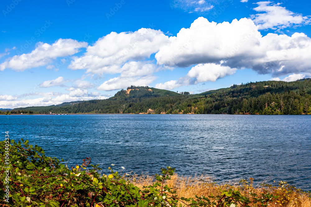 Fototapeta premium Beautiful view of the Foster Reservoir in Sweet Home, Oregon