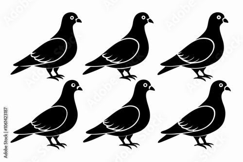 Beautiful bird pigeon silhouette black icon vector art illustration Set,hair dryer icon Set,6-pigeon--icon-black-silhouette-vector--white-background photo