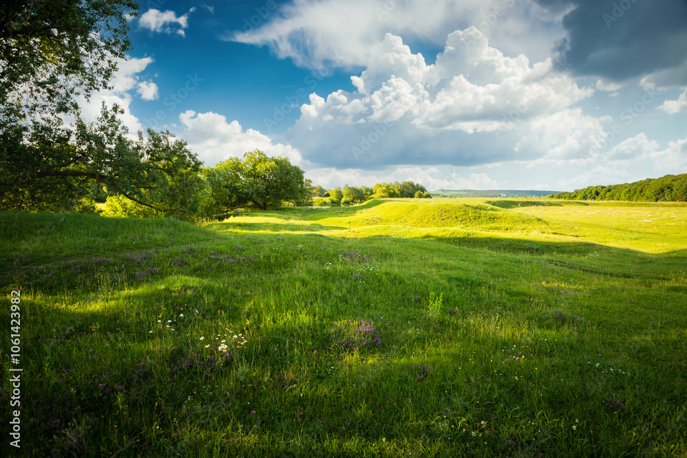 Fototapeta premium Splendid spring view of green lawn and blue sky with white fluffy clouds.