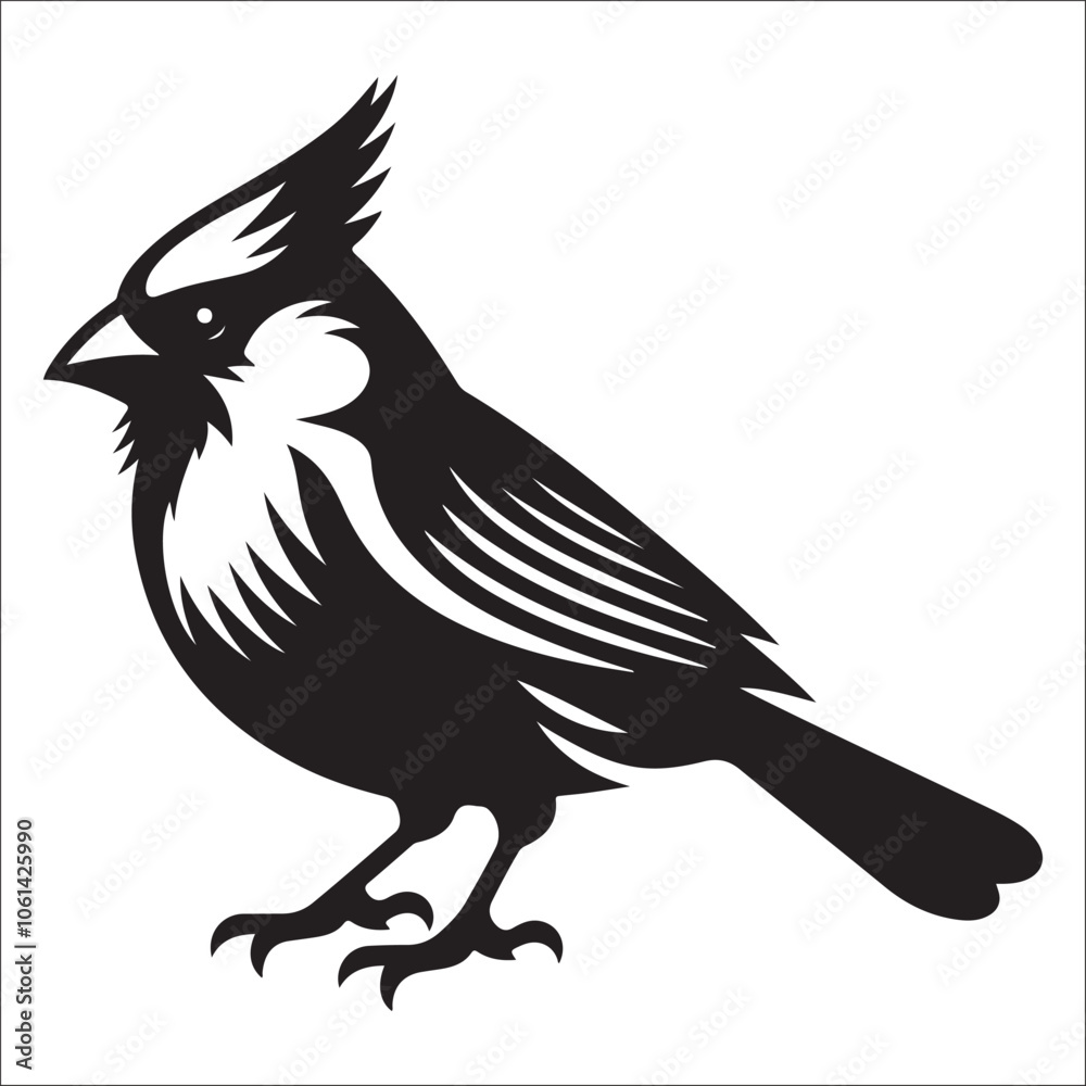 silhouette of a cardinal on white, Sketch of northern cardinal or redbird vector icon, Set of Cardinal Birds Silhouette, Northern cardinal silhouette of a cardinal on white, Sketch of northern cardinal or redbird vector icon, Set of Cardinal Birds Silhouette, Northern cardinal