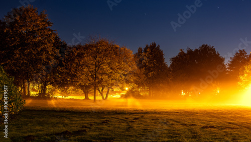 Bäume in der blauen Stunde angestrahlt durch warmes Licht. Nebel zieht über den Boden. Bad Bentheim Schlosspark.