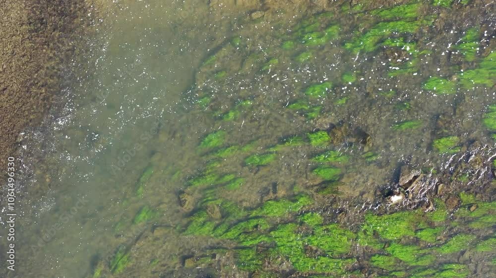 Muszyna, Beskid Sądecki, Rzeka Poprad