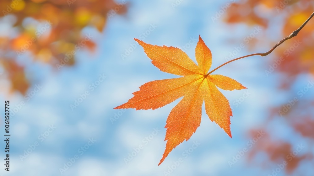Autumn background with maple leaves and bokeh,Fall blurred background, Yellow and red maple leaves are flying and falling down. Autumnal landscape.water drop on leaf,space for text.
