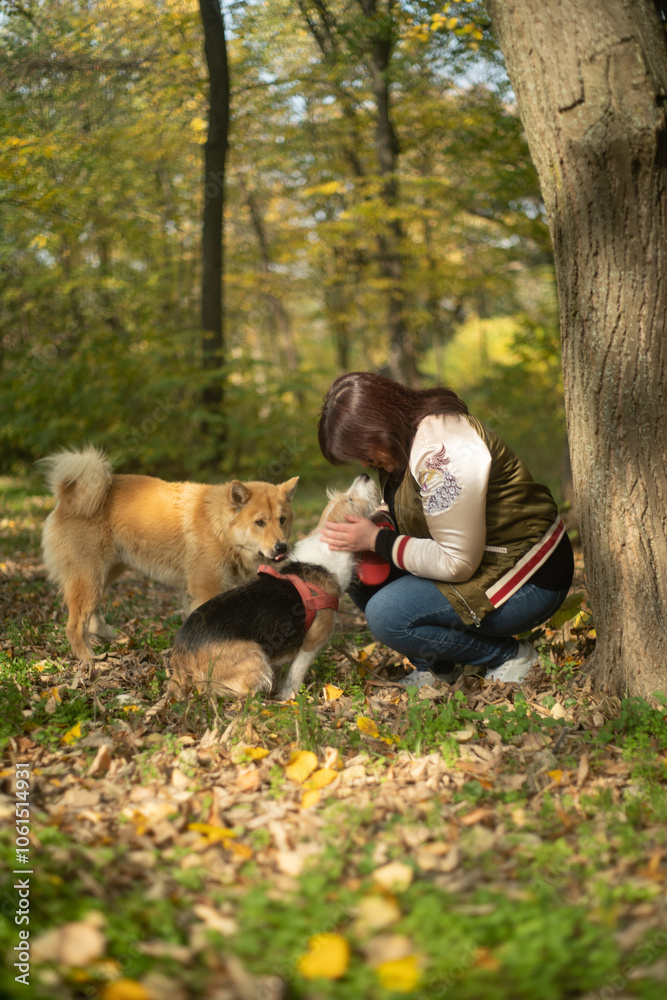 Woman portrait stroking the dog pet in the forest on an autumn day Woman portrait stroking the dog pet in the forest on an autumn day