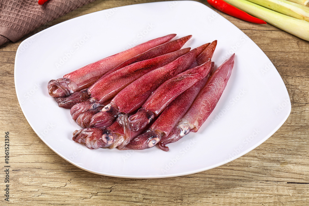 Raw fresh squids for cooking Raw fresh squids for cooking
