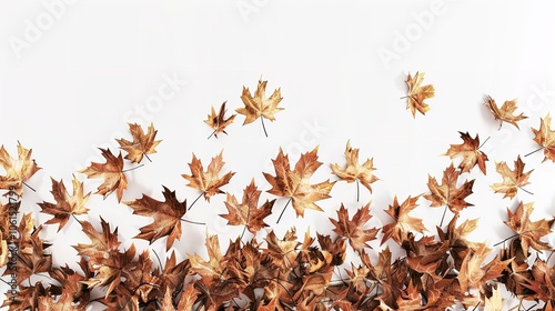 Autumn leaves border isolated on a white background