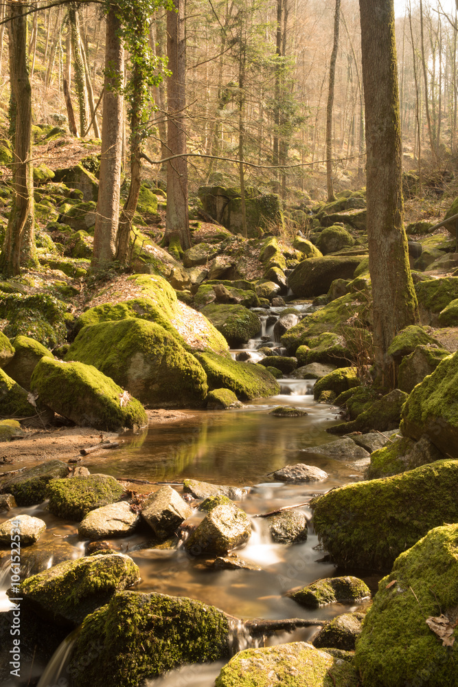 Gaishöll Waterfalls Sasbachwalden, Black Forest, Germany