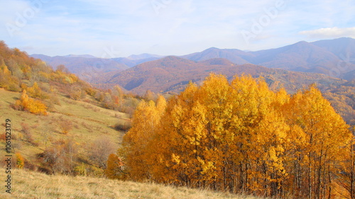 autumn landscape in mountains