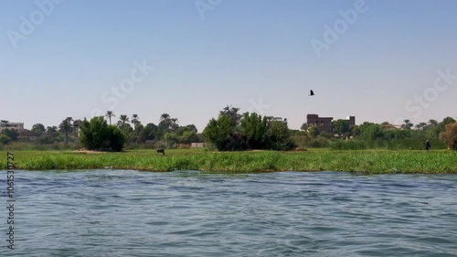 Cruise the Nile River in Luxor with a view of the coast panorama