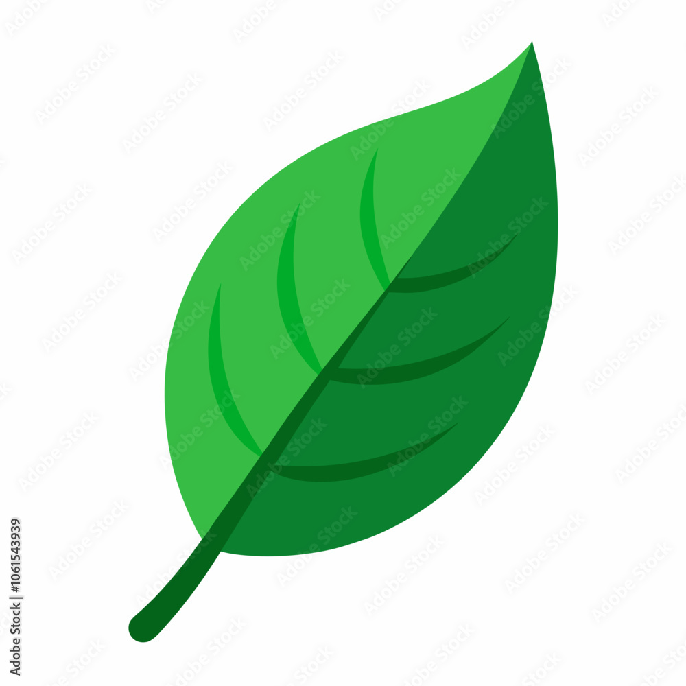green leaf isolated on white, green leaf vector, green leaf icon green leaf isolated on white, green leaf vector, green leaf icon