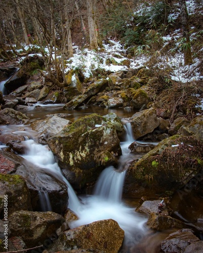 waterfall in the forest