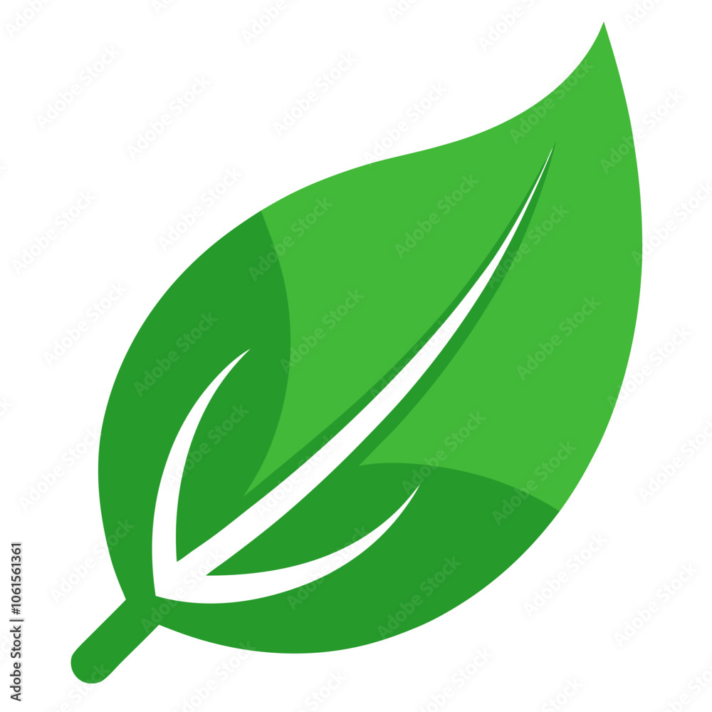 green leaf isolated on white background green leaf isolated on white background