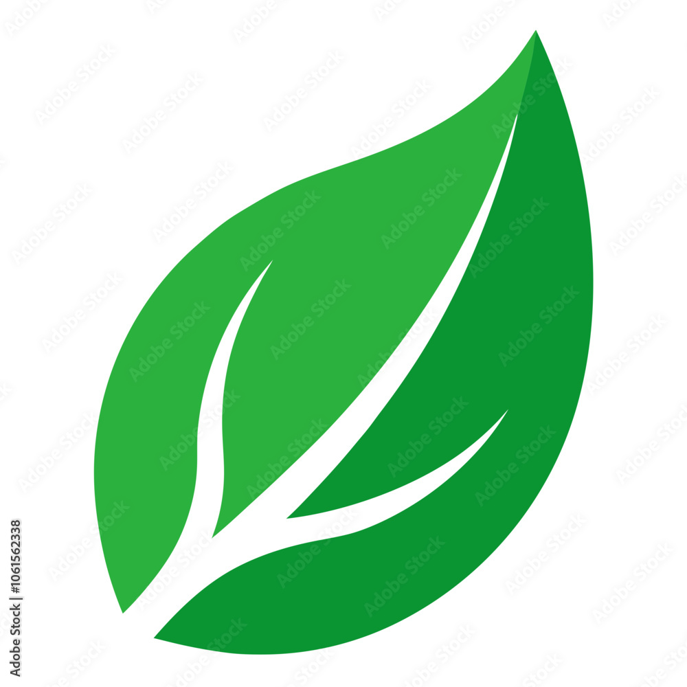 green leaf isolated on white background green leaf isolated on white background