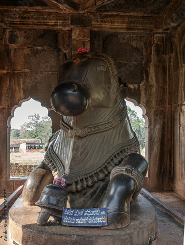 Aghoreshwara Temple, Dravidian architecture, Keladi Nayaka period. India. photo