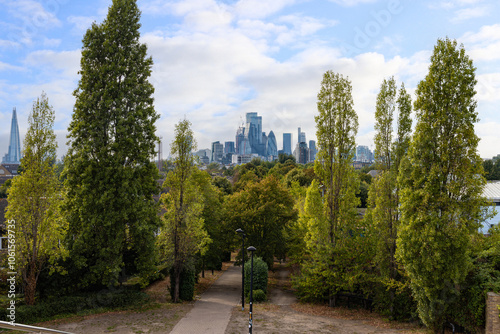 Tall trees in a London park blending in with the City of London skyscrapers